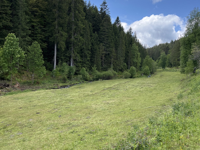 22-05-29 12-43-46 0963